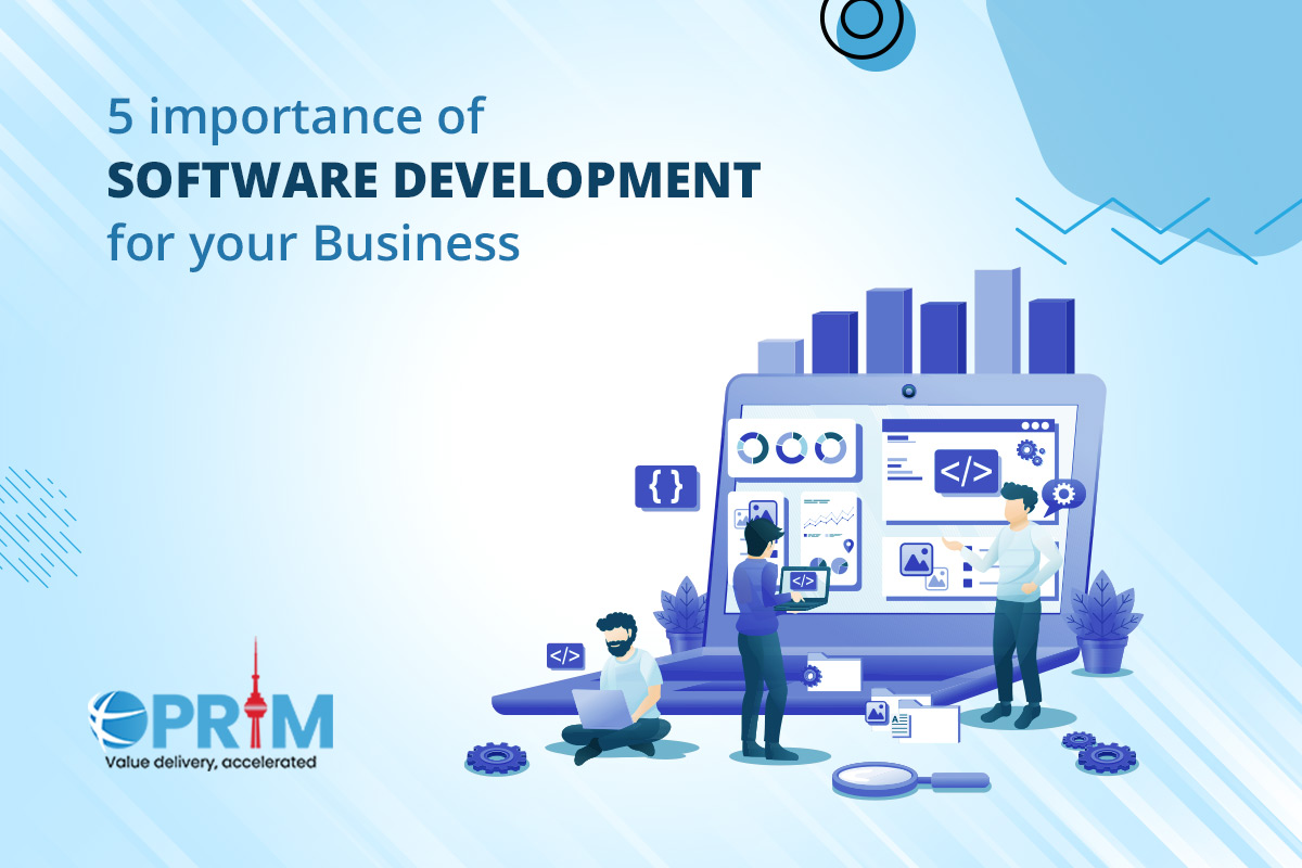 Importance of software development for your business